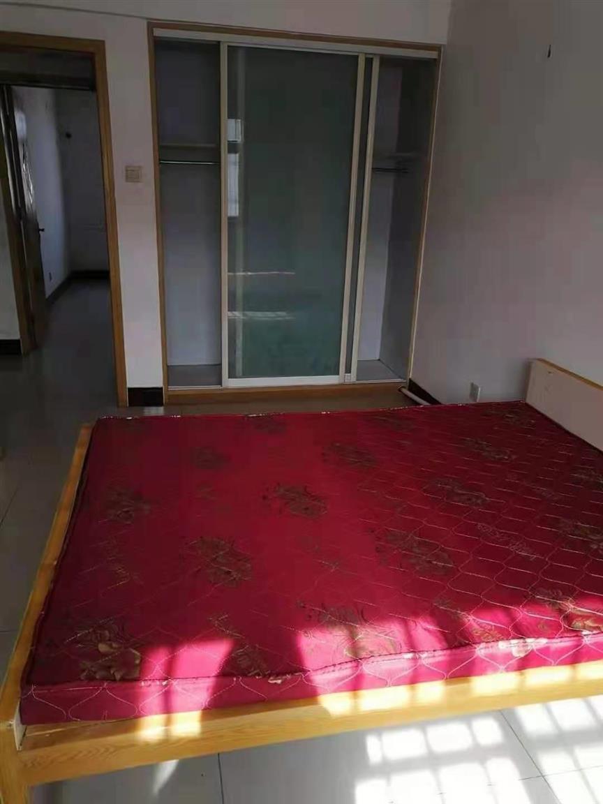 实拍图