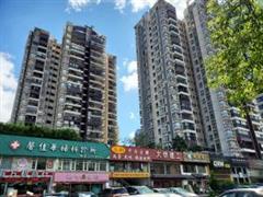 紫金阁楼盘图片