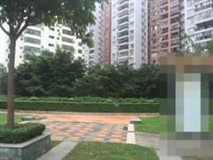 九洲时代楼盘图片