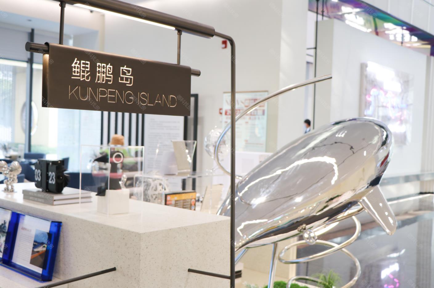 大华公园荟样板房