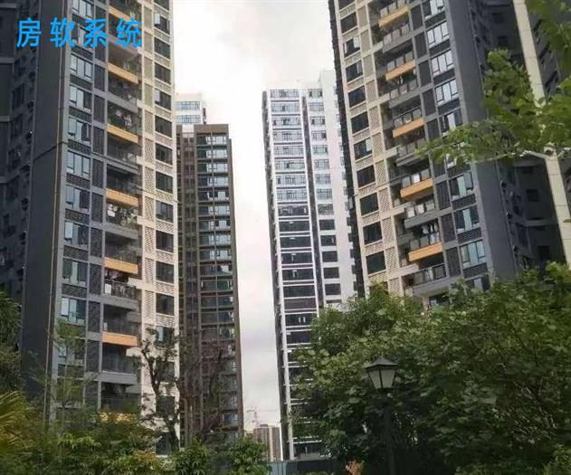 实景图片
