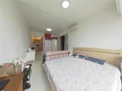 中联国际