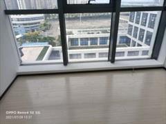 湾区一号楼盘图片